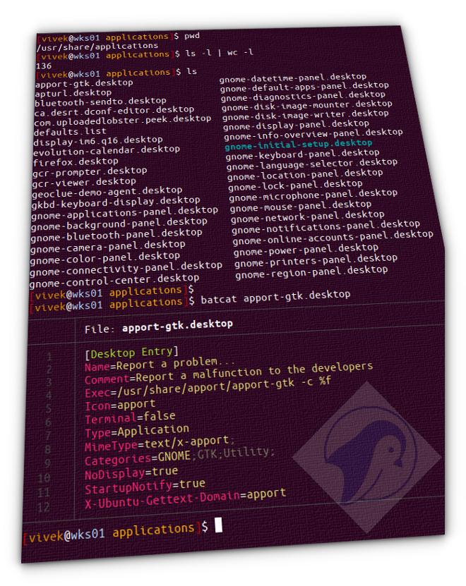Linux Class Portfolio's cover image