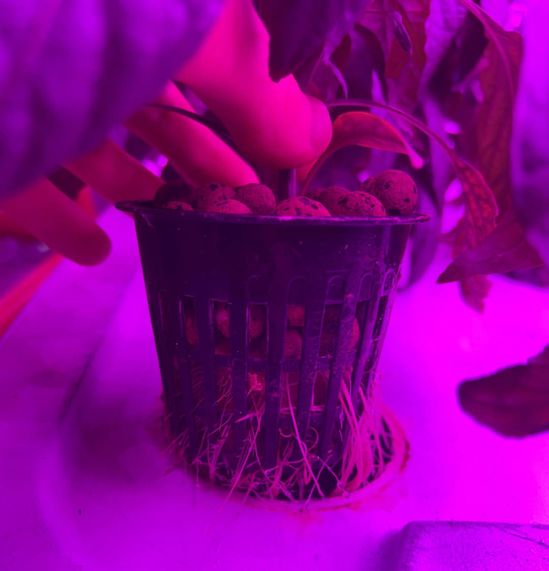 Grow baskets