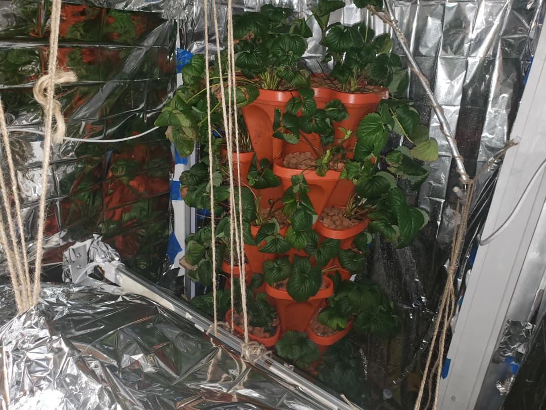 Strawberry Grow Tower